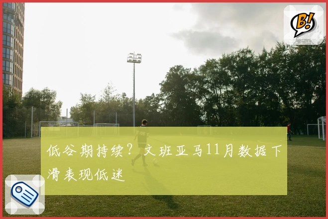 低谷期持续？文班亚马11月数据下滑表现低迷
