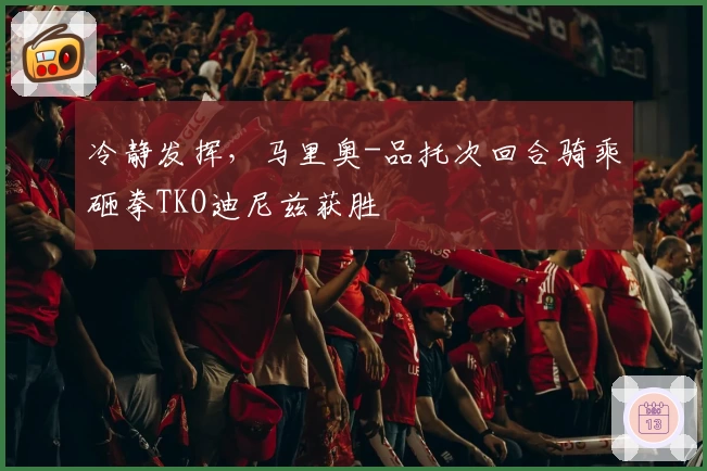 冷静发挥，马里奥-品托次回合骑乘砸拳TKO迪尼兹获胜