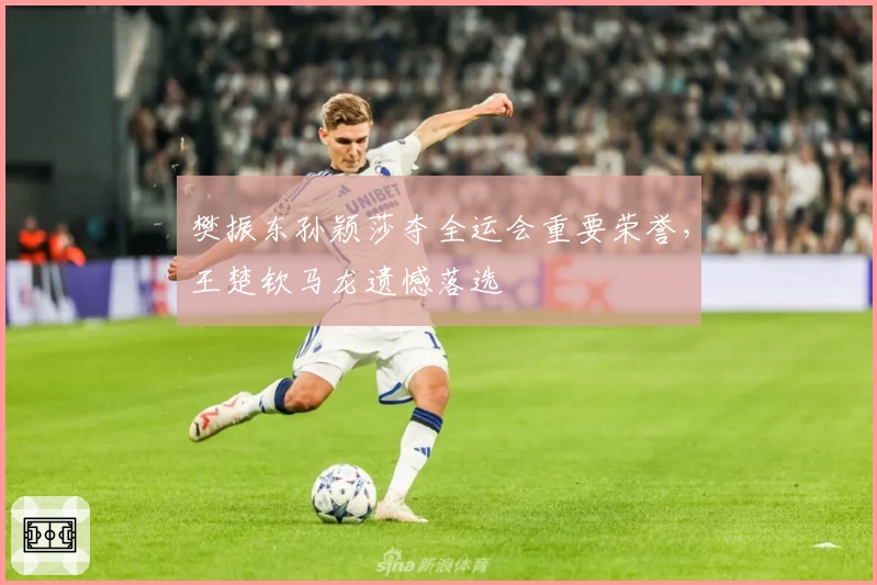 樊振东孙颖莎夺全运会重要荣誉，王楚钦马龙遗憾落选