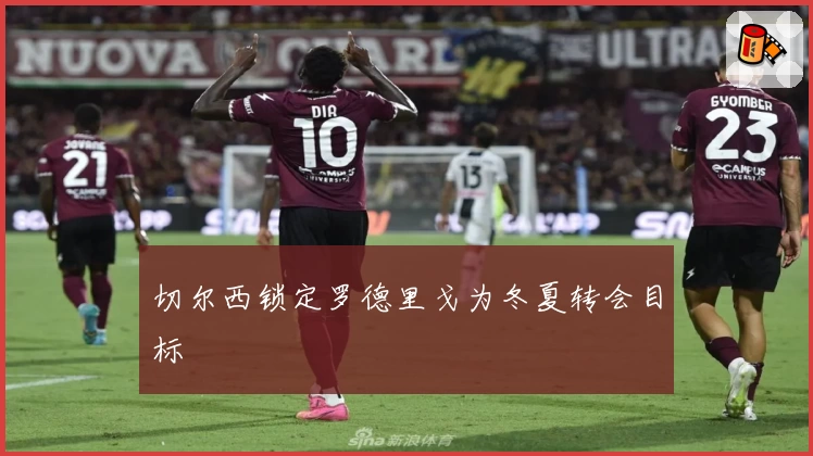 切尔西锁定罗德里戈为冬夏转会目标