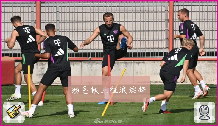 粉色铁三征浪绽辉