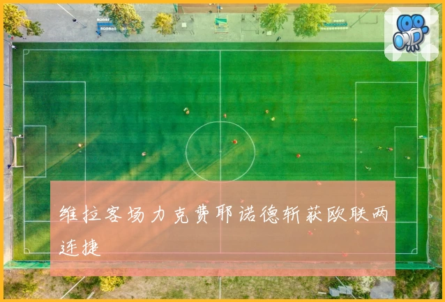 维拉客场力克费耶诺德斩获欧联两连捷