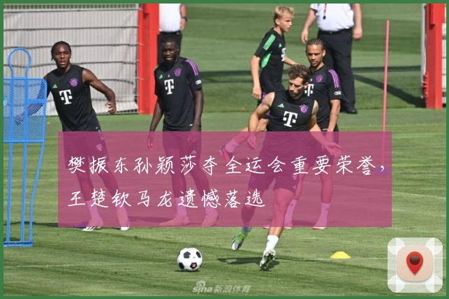 樊振东孙颖莎夺全运会重要荣誉，王楚钦马龙遗憾落选