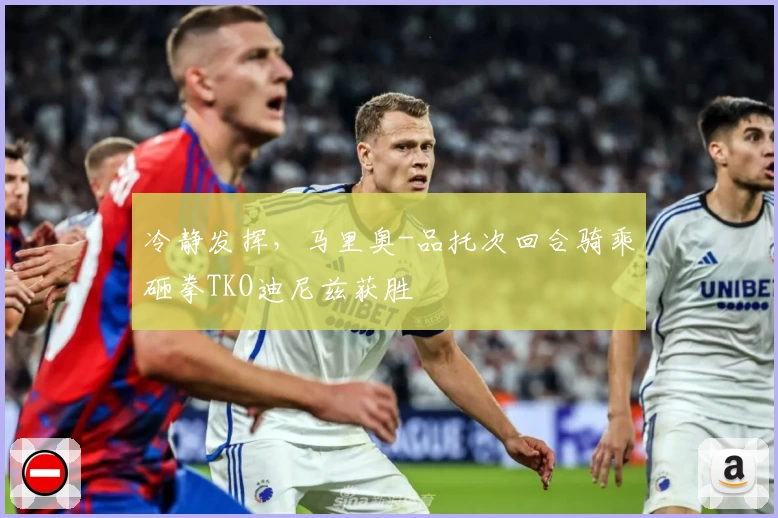 冷静发挥，马里奥-品托次回合骑乘砸拳TKO迪尼兹获胜