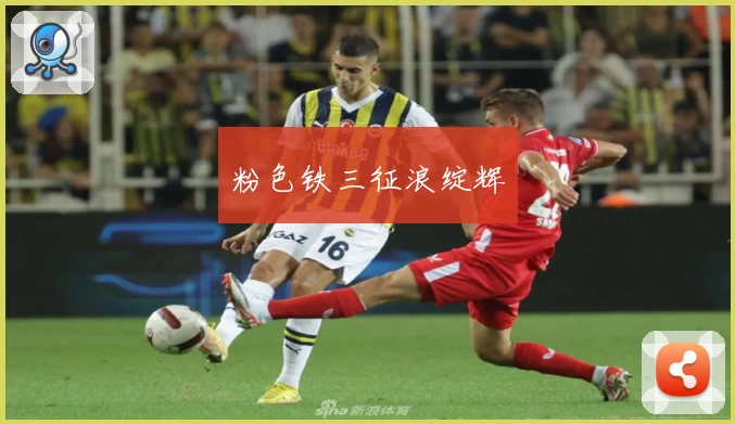 粉色铁三征浪绽辉